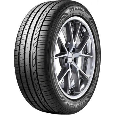 Goodyear EfficientGrip COMFORT 225 40 R19 93W